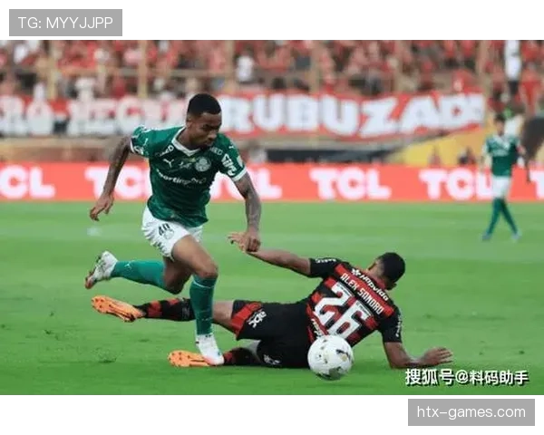 南美足球赛季战术革新成效显著，多队表现亮眼整体竞争力跃升